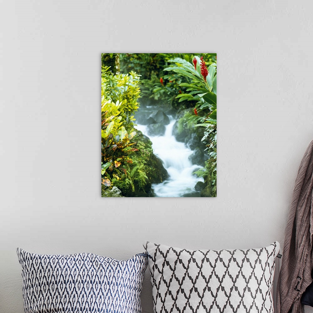 A bohemian room featuring Photograph of water flowing over large rocks lined with lush tropical plant life.