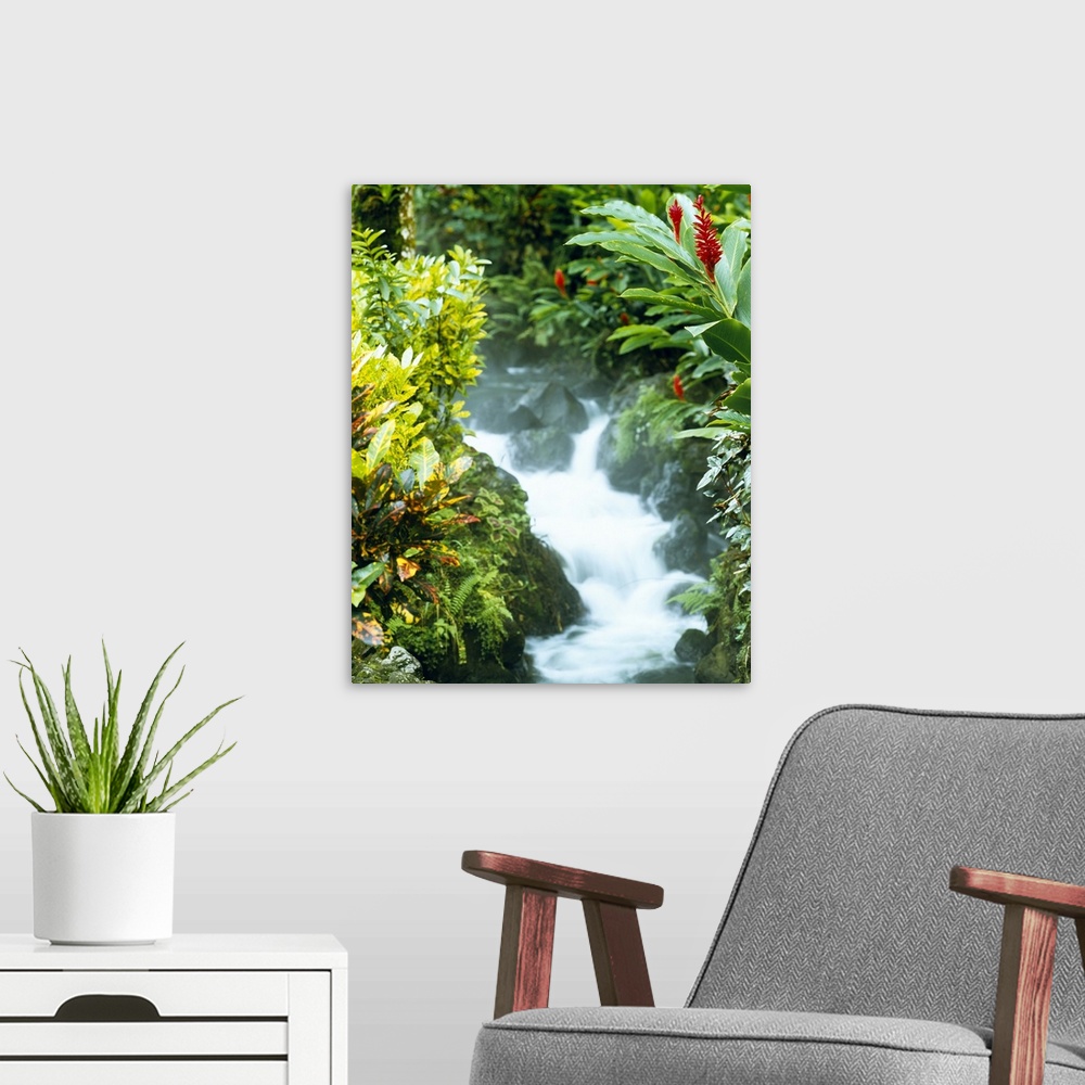 A modern room featuring Photograph of water flowing over large rocks lined with lush tropical plant life.
