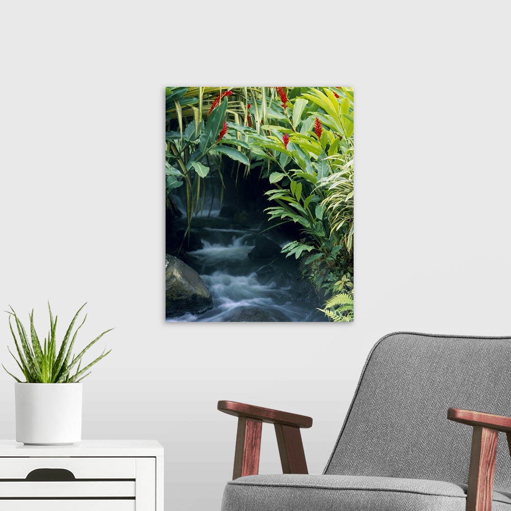 A modern room featuring View of a waterfall peeking through foliage that forms a natural arch over the rushing water below.