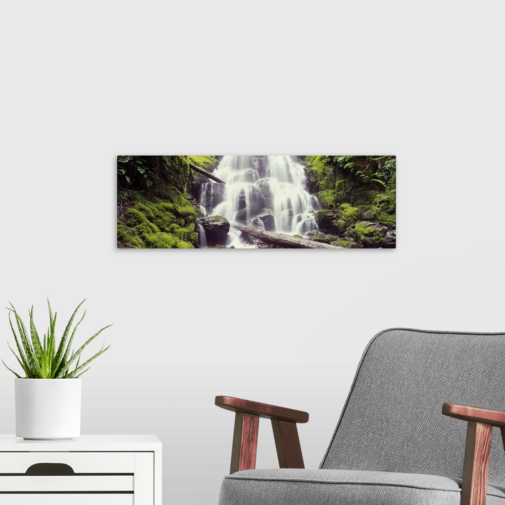A modern room featuring Waterfall in a forest Waheena Falls Hood River Oregon