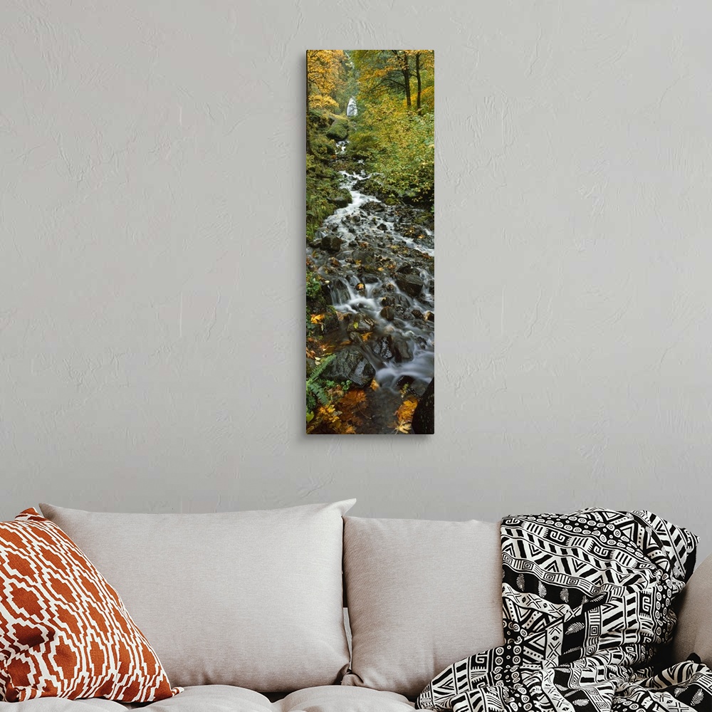 A bohemian room featuring Portrait photograph on a large canvas of Wahkeena Falls, hidden behind trees in a forest, while t...