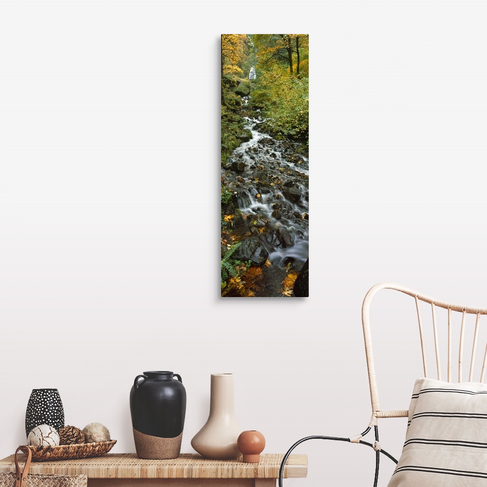 A farmhouse room featuring Portrait photograph on a large canvas of Wahkeena Falls, hidden behind trees in a forest, while t...