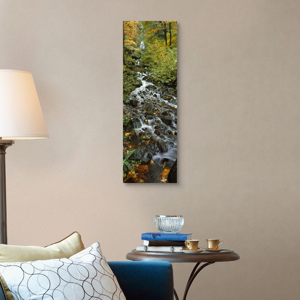 A traditional room featuring Portrait photograph on a large canvas of Wahkeena Falls, hidden behind trees in a forest, while t...