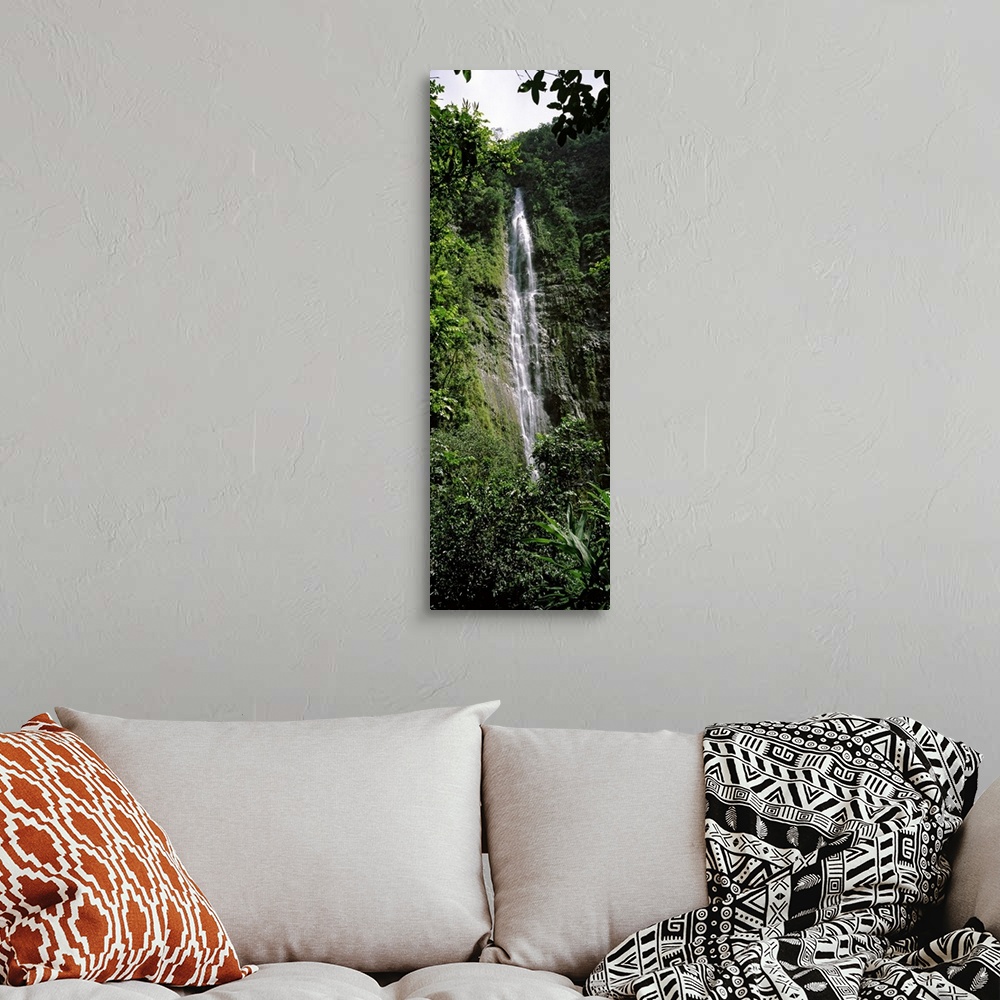 A bohemian room featuring Waterfall in a forest, Waimoku Falls, Haleakala National Park, Maui, Hawaii