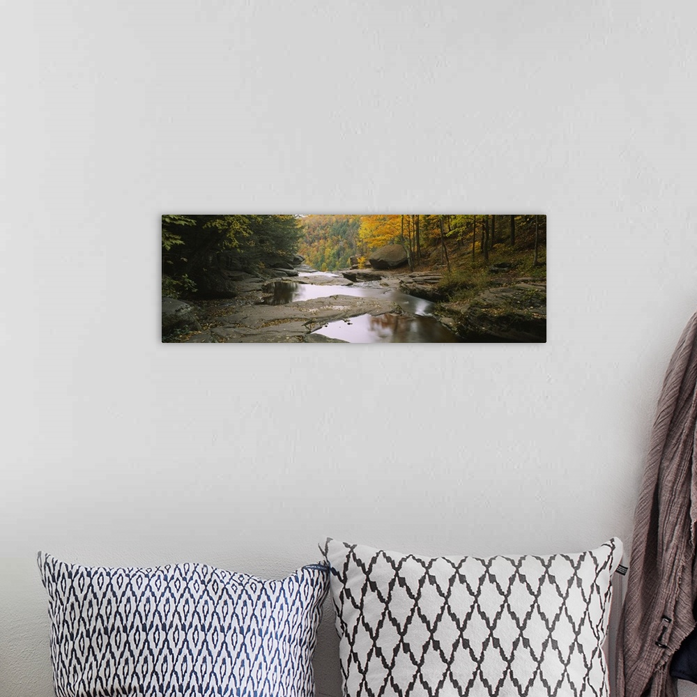 A bohemian room featuring Panoramic photograph focuses on the edge of a stream filled with large rocks before it falls over...