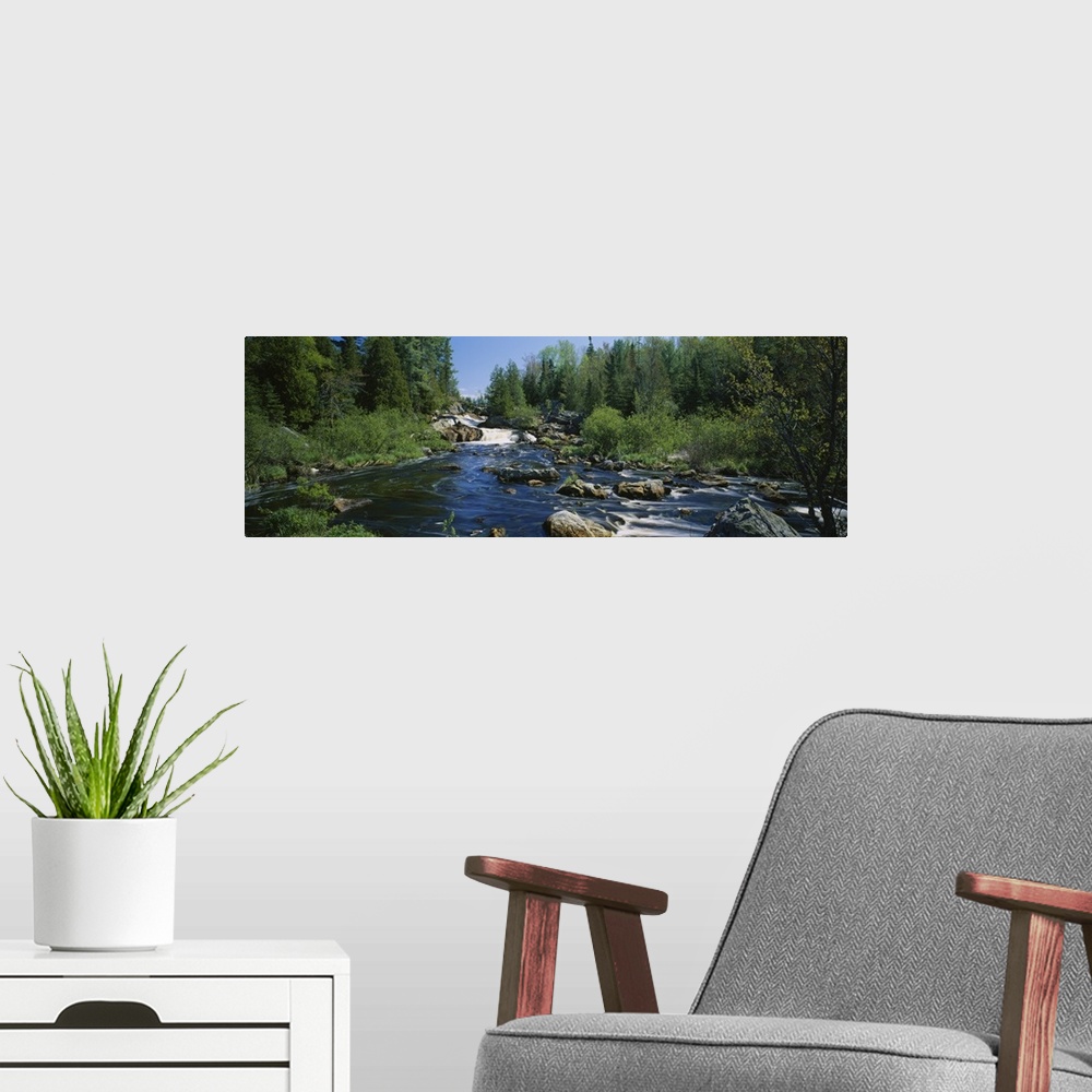 A modern room featuring Panoramic photograph of rock stream lined with forest on both sides.