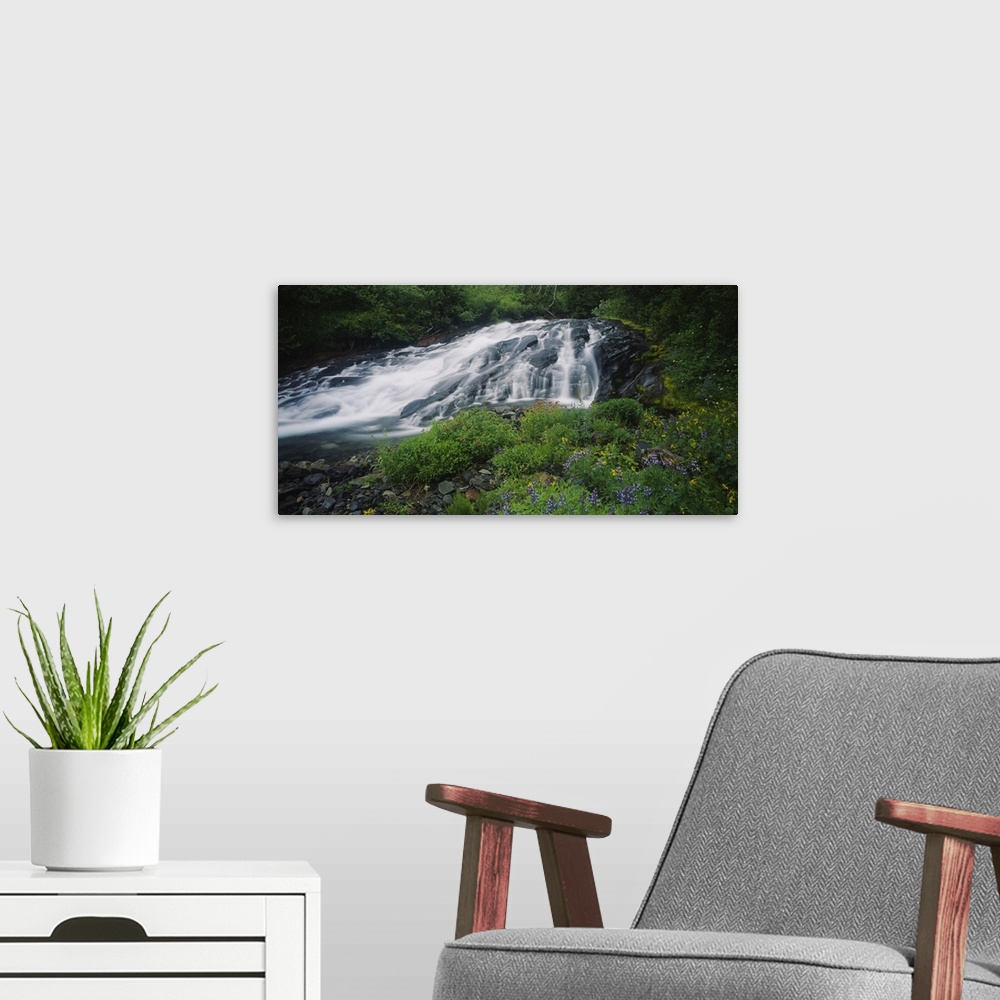 A modern room featuring Waterfall in the forest, Mt Rainier National Park, Washington State
