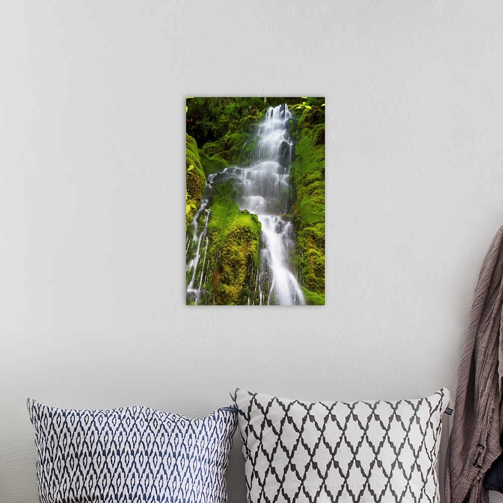 A bohemian room featuring Vertical canvas photo print of a large waterfall with water rushing through mossy rocks along the...