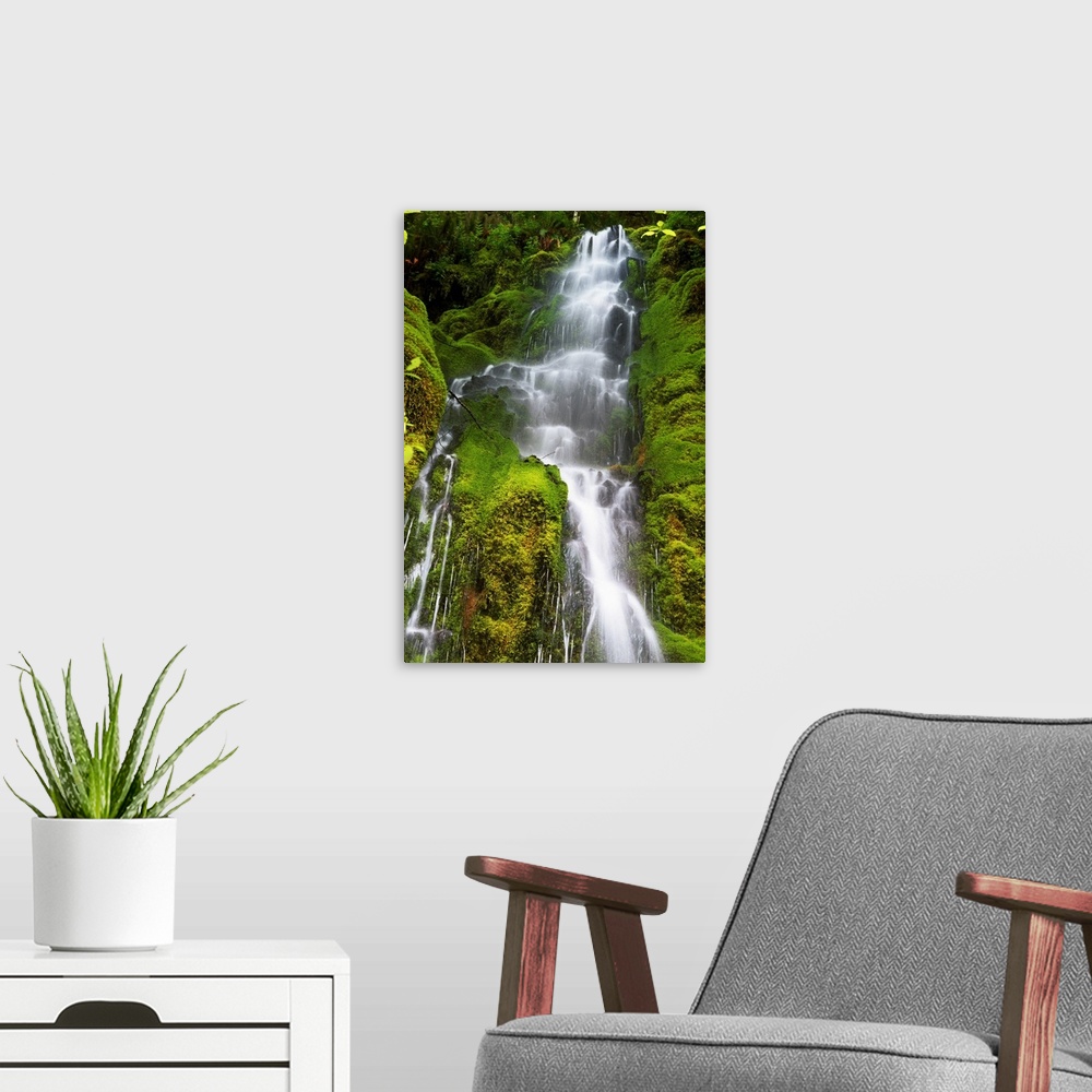 A modern room featuring Vertical canvas photo print of a large waterfall with water rushing through mossy rocks along the...