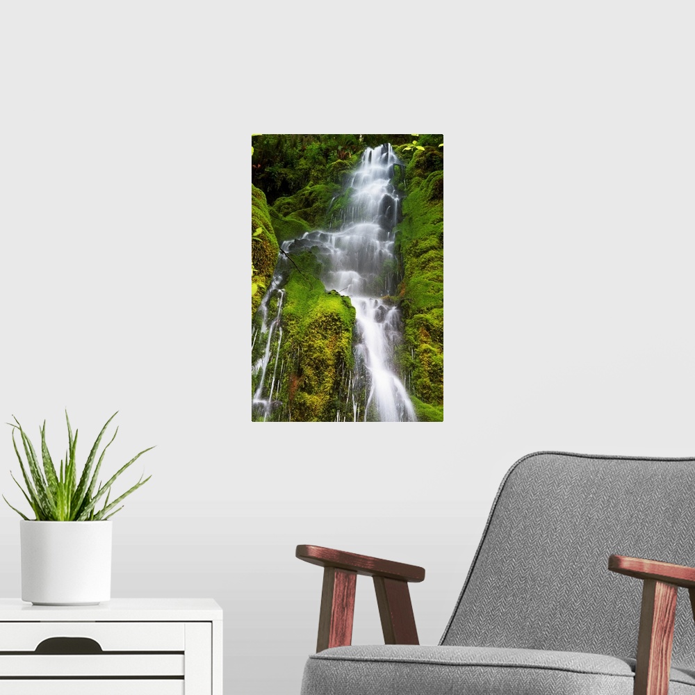 A modern room featuring Vertical canvas photo print of a large waterfall with water rushing through mossy rocks along the...
