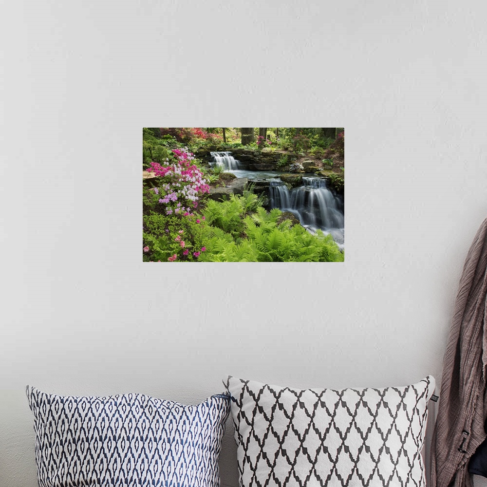 A bohemian room featuring Waterfall with ferns and azaleas at Azalea Path Arboretum And Botanical Gardens, Hazleton, Gibson...
