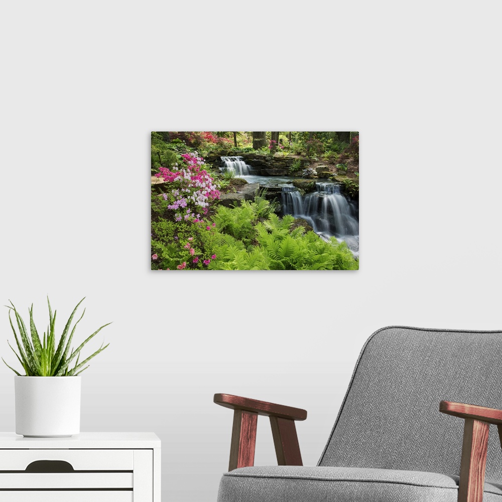 A modern room featuring Waterfall with ferns and azaleas at Azalea Path Arboretum And Botanical Gardens, Hazleton, Gibson...