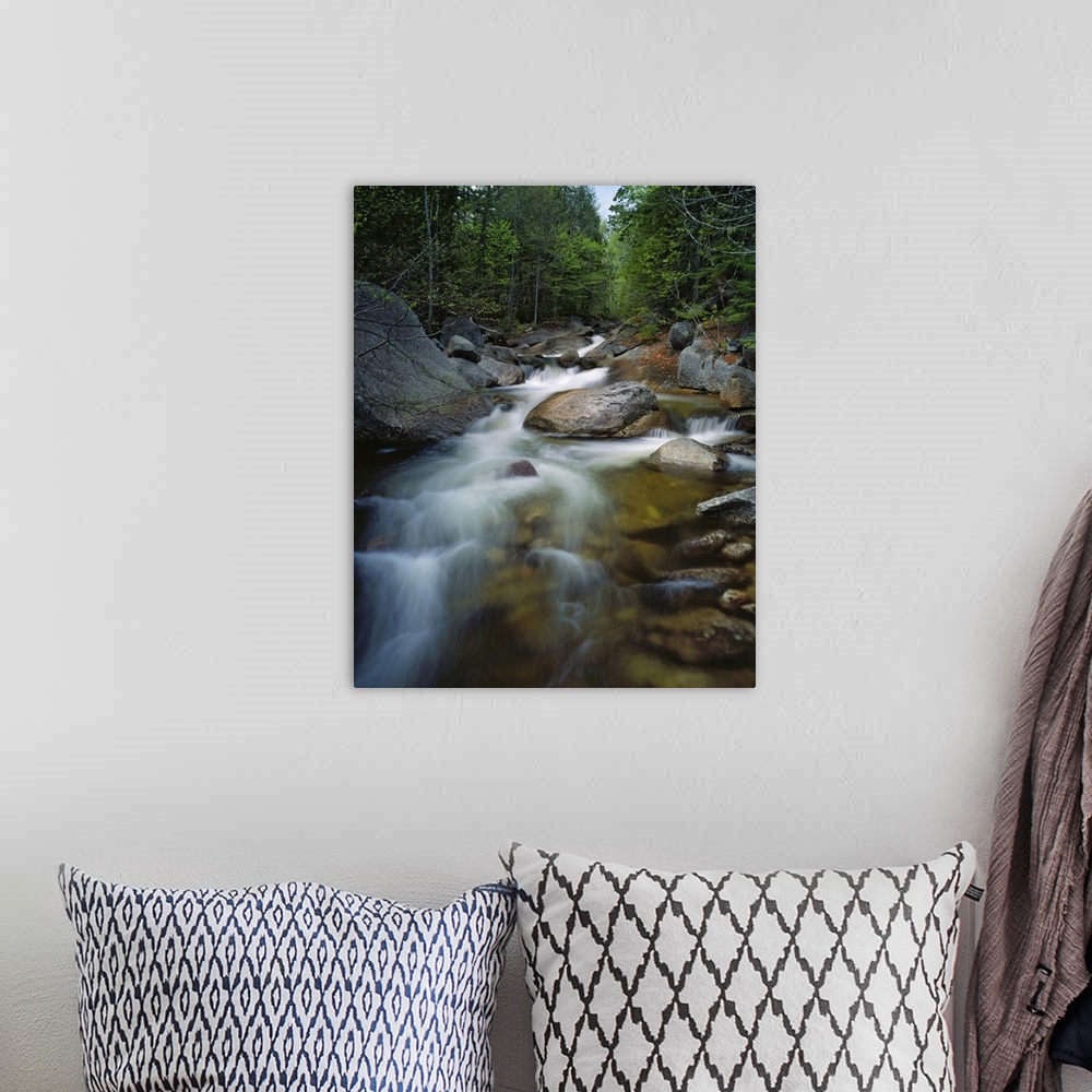 A bohemian room featuring Tall photo on canvas of water rushing through rocks in a stream running through a forest.
