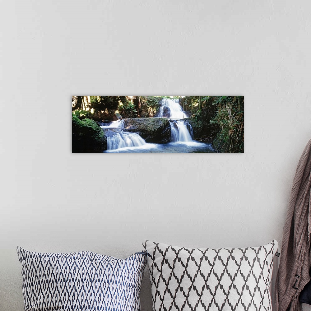 A bohemian room featuring Panoramic photograph of several small waterfalls surrounded by rocky terrain and a lush, green fo...