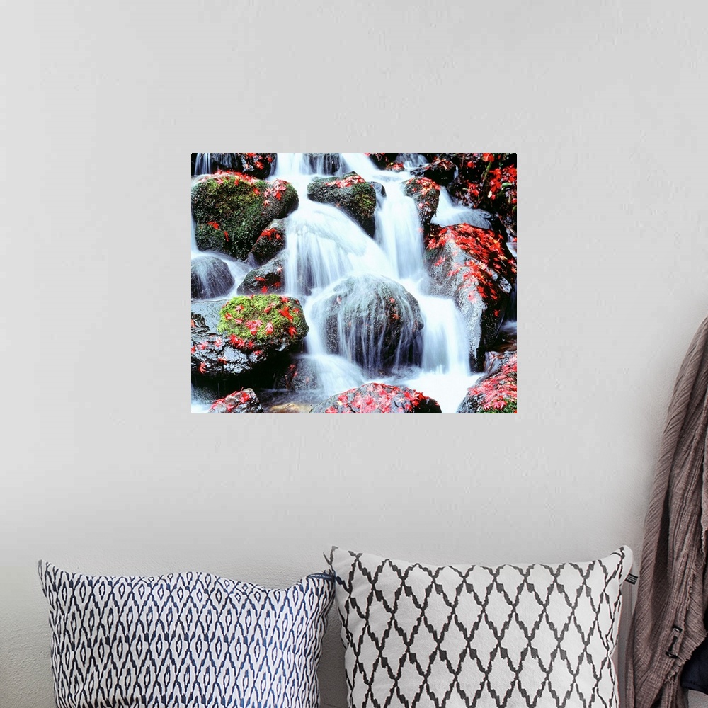 A bohemian room featuring Large photograph includes water cascading furiously over moss and leaf-covered rocks.