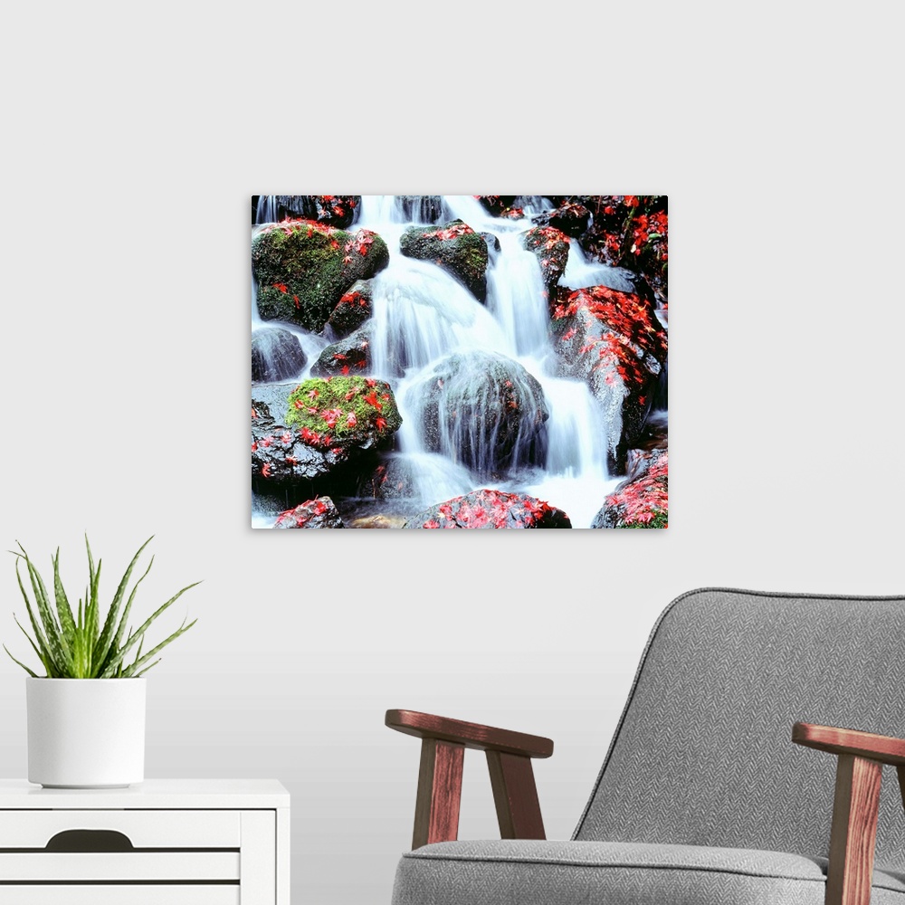 A modern room featuring Large photograph includes water cascading furiously over moss and leaf-covered rocks.