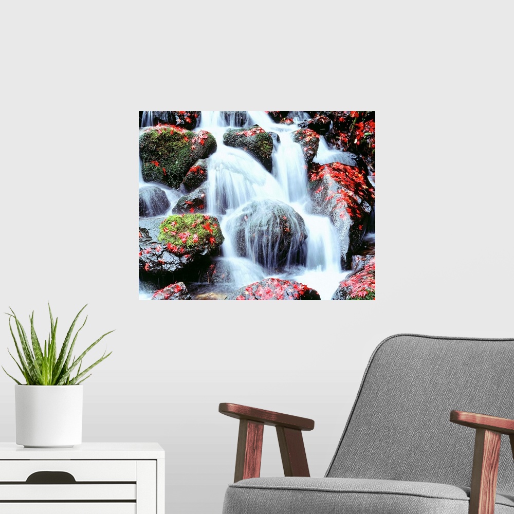 A modern room featuring Large photograph includes water cascading furiously over moss and leaf-covered rocks.