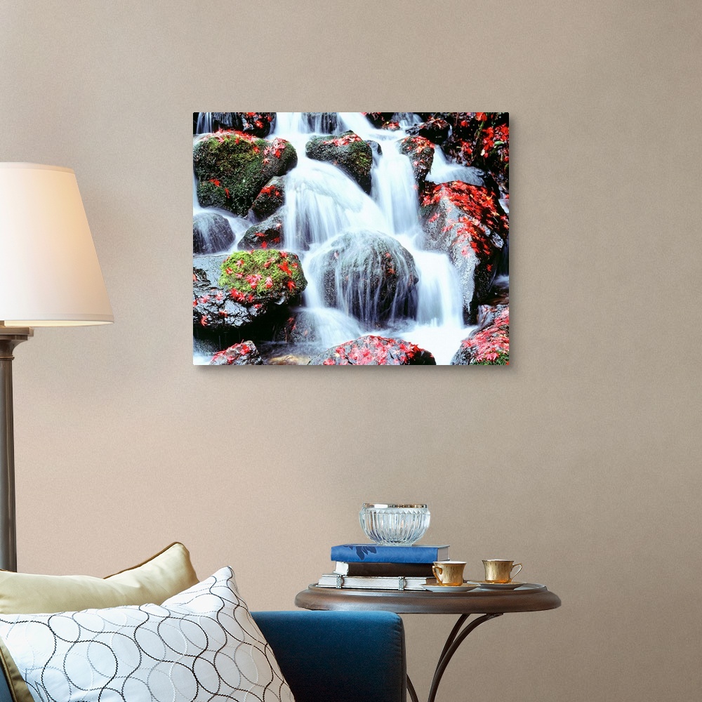 A traditional room featuring Large photograph includes water cascading furiously over moss and leaf-covered rocks.