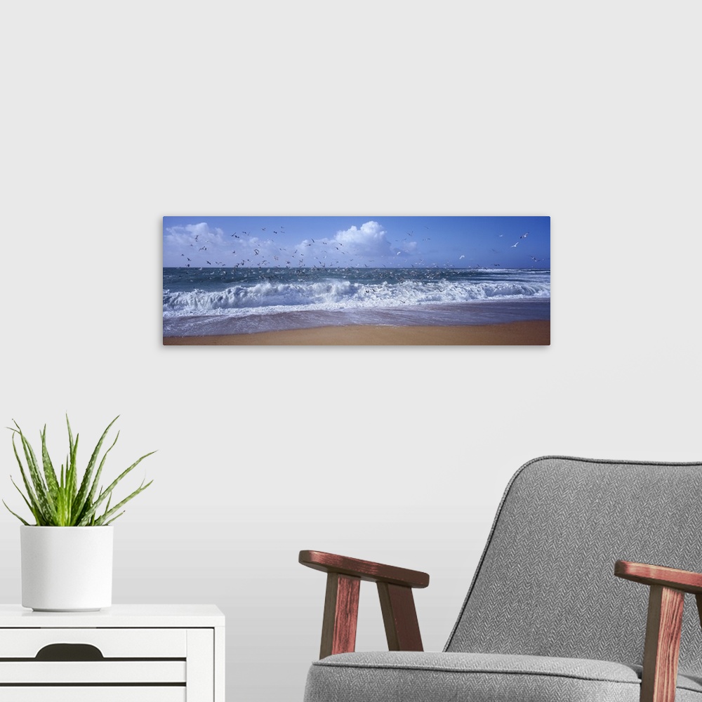 A modern room featuring Wide angle photograph of waves crashing into the sandy shore, as a flock of birds sly overhead, i...