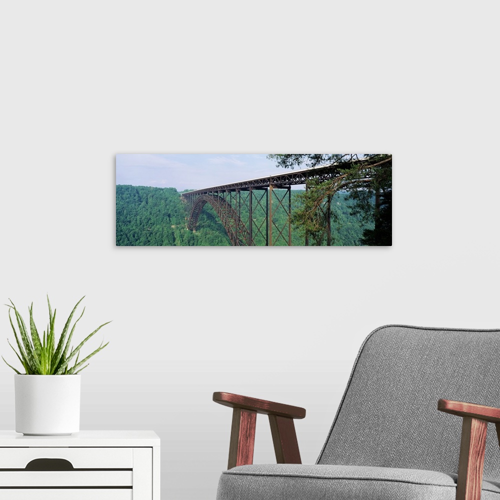 A modern room featuring Panoramic photograph of a dense forest of trees surrounding the base of New River Gorge Bridge in...