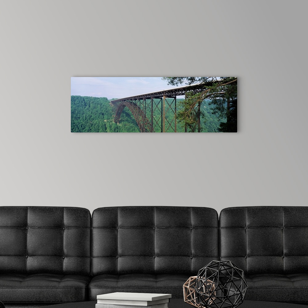 A modern room featuring Panoramic photograph of a dense forest of trees surrounding the base of New River Gorge Bridge in...