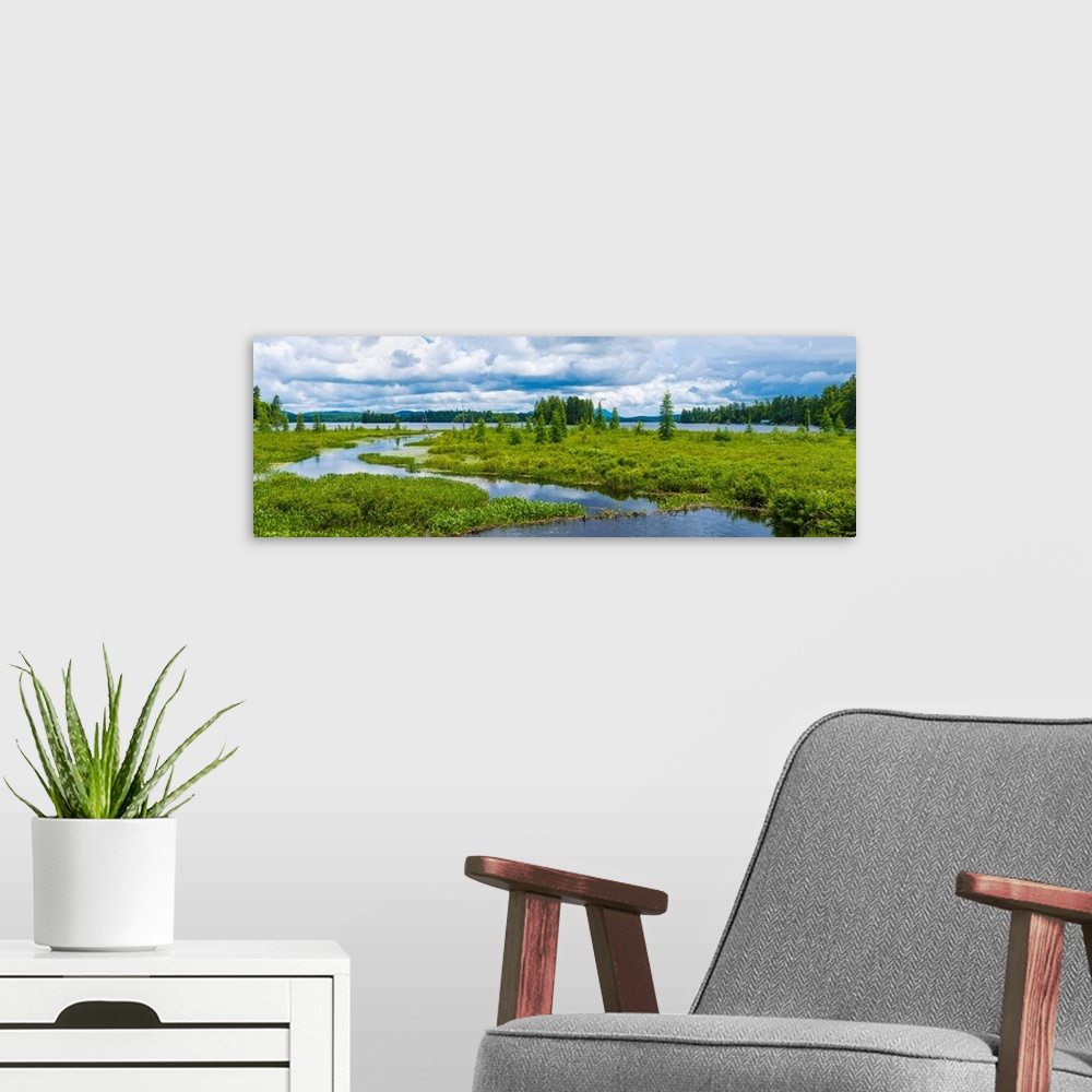 A modern room featuring Wetlands near Raquette Lake in the Adirondack Mountains, New York State