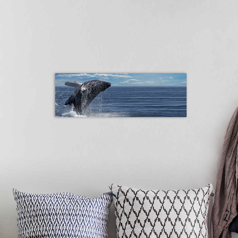 A bohemian room featuring Whale breaching