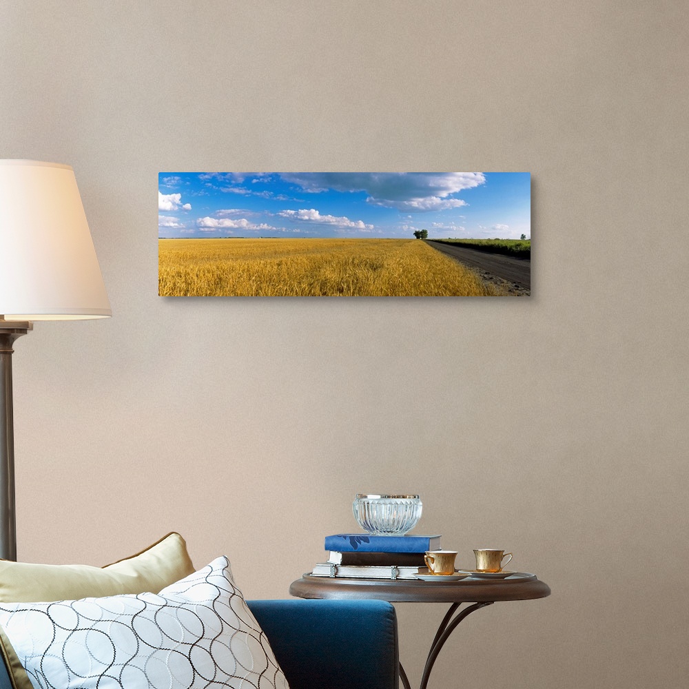 A traditional room featuring Wheat crop in a field, North Dakota