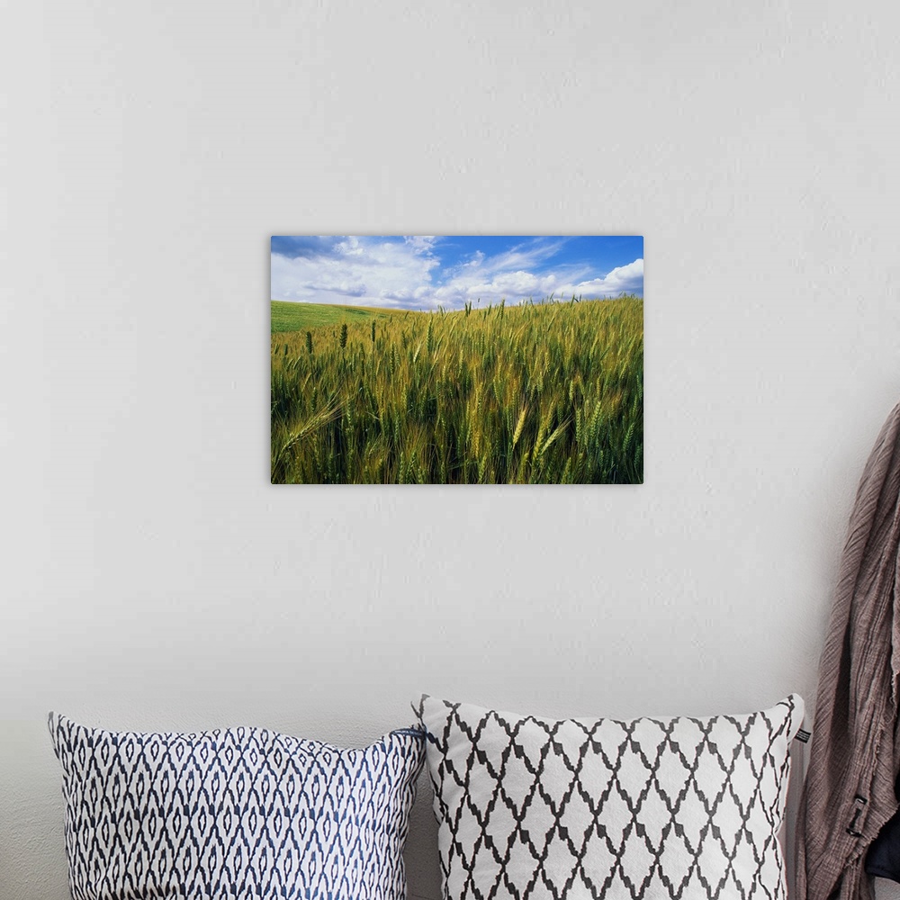 A bohemian room featuring Photograph of meadow filled with tall grass blowing in wind under a cloudy sky.