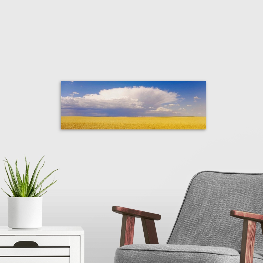 A modern room featuring Wheat Field and Clouds WA