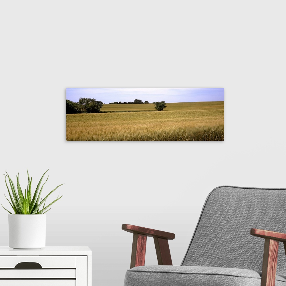 A modern room featuring Wheat field, Kansas