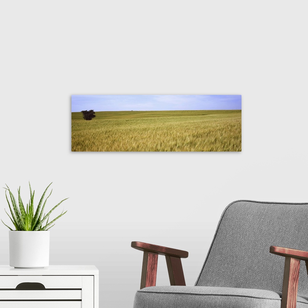 A modern room featuring Wheat field, Kansas