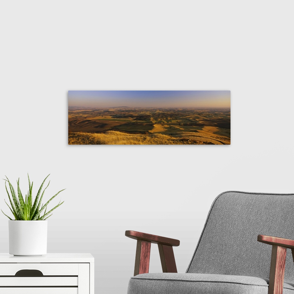 A modern room featuring Wheat field on a landscape, Palouse Region, Whitman County, Washington State