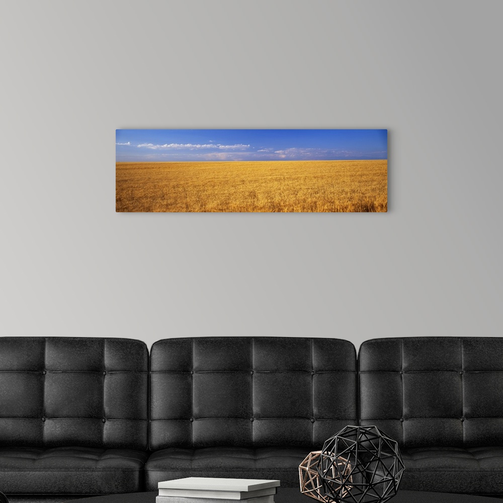 A modern room featuring Wheat field Weld Co CO