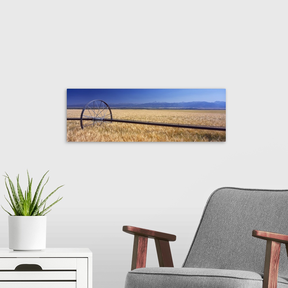 A modern room featuring Wheat Teton Valley ID