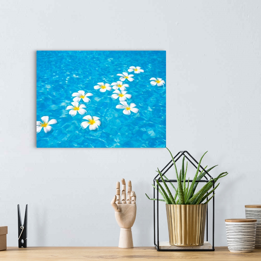 A bohemian room featuring White jasmine flowers floating on water
