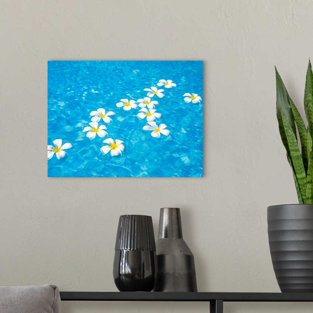 A modern room featuring White jasmine flowers floating on water