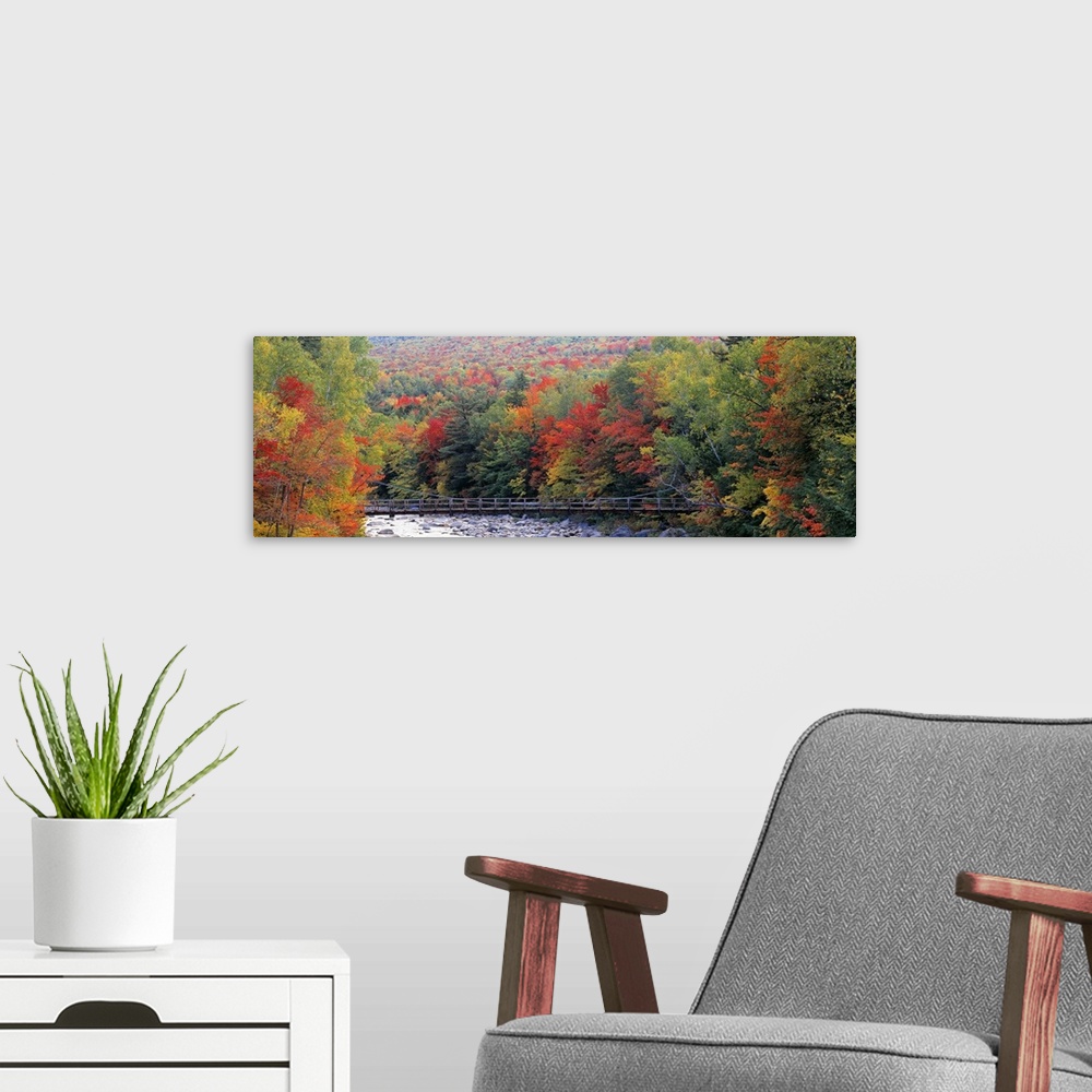 A modern room featuring A suspension foot bridge passes over a boulder filled river in this panoramic photograph wall art.