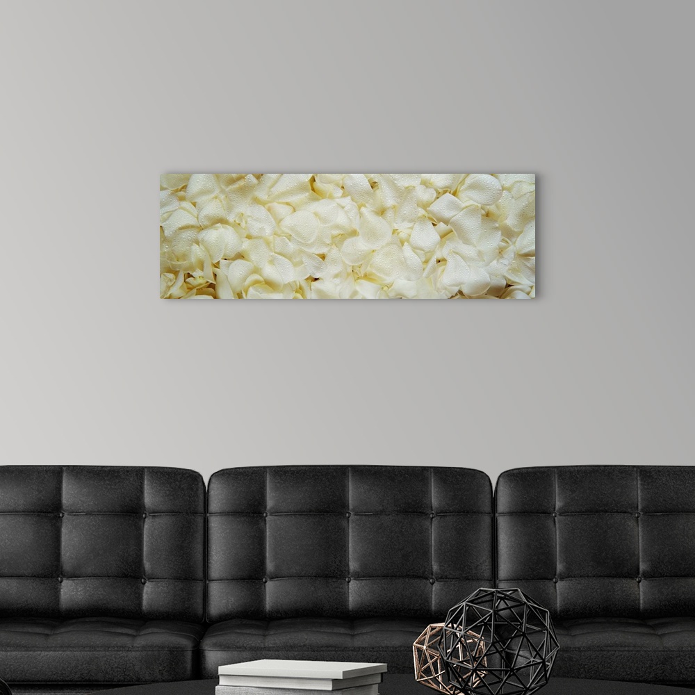 A modern room featuring Long panoramic photo of up close rose petals layered on top of each other.