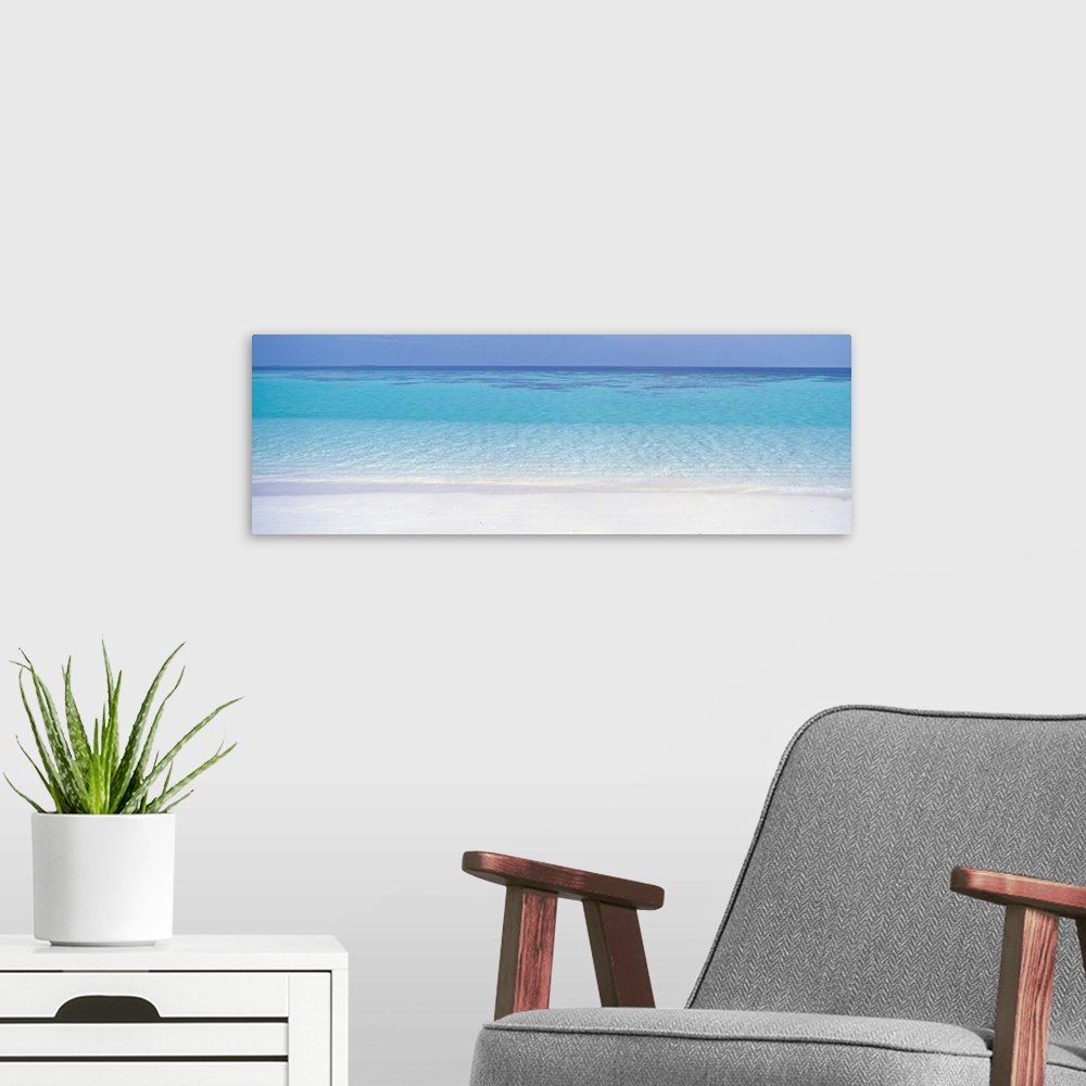 A modern room featuring This panoramic photograph shows clear tropical water creating ripples against the shore.
