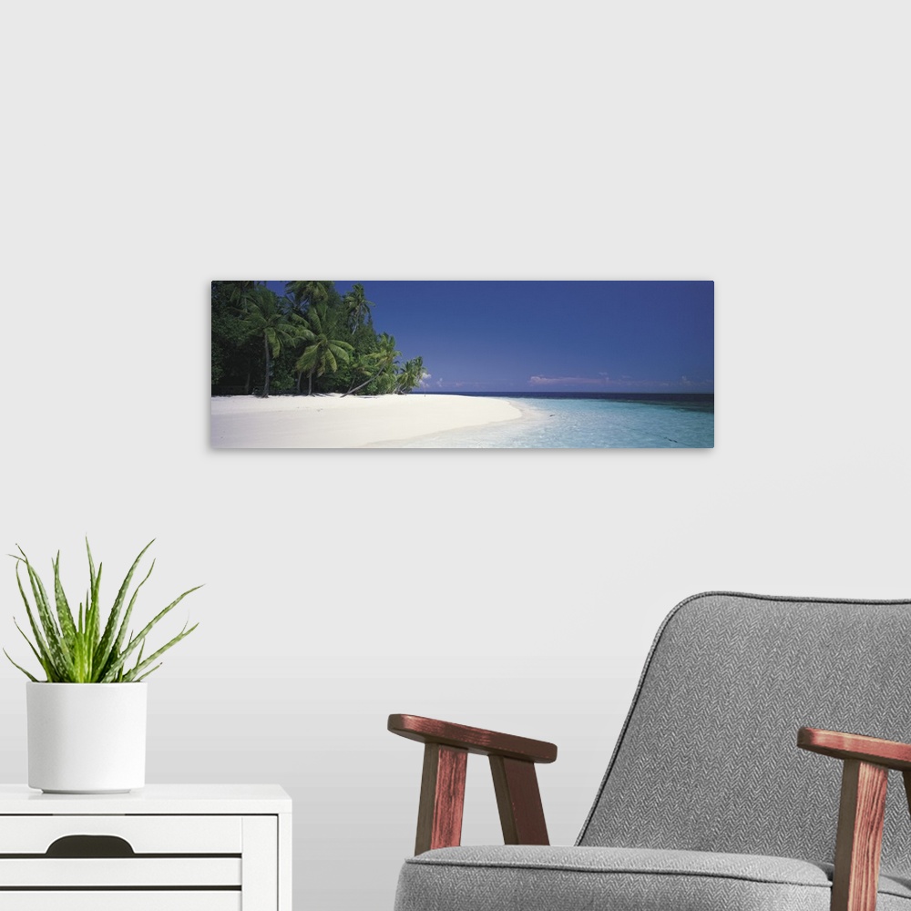 A modern room featuring Panoramic photograph shows a dense forest lined with palm trees sitting near the edge of a beach ...