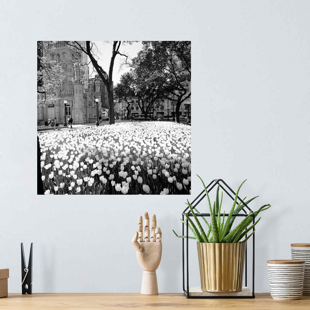 A bohemian room featuring Square photo print of flowers in a garden in Chicago with tall buildings in the background.