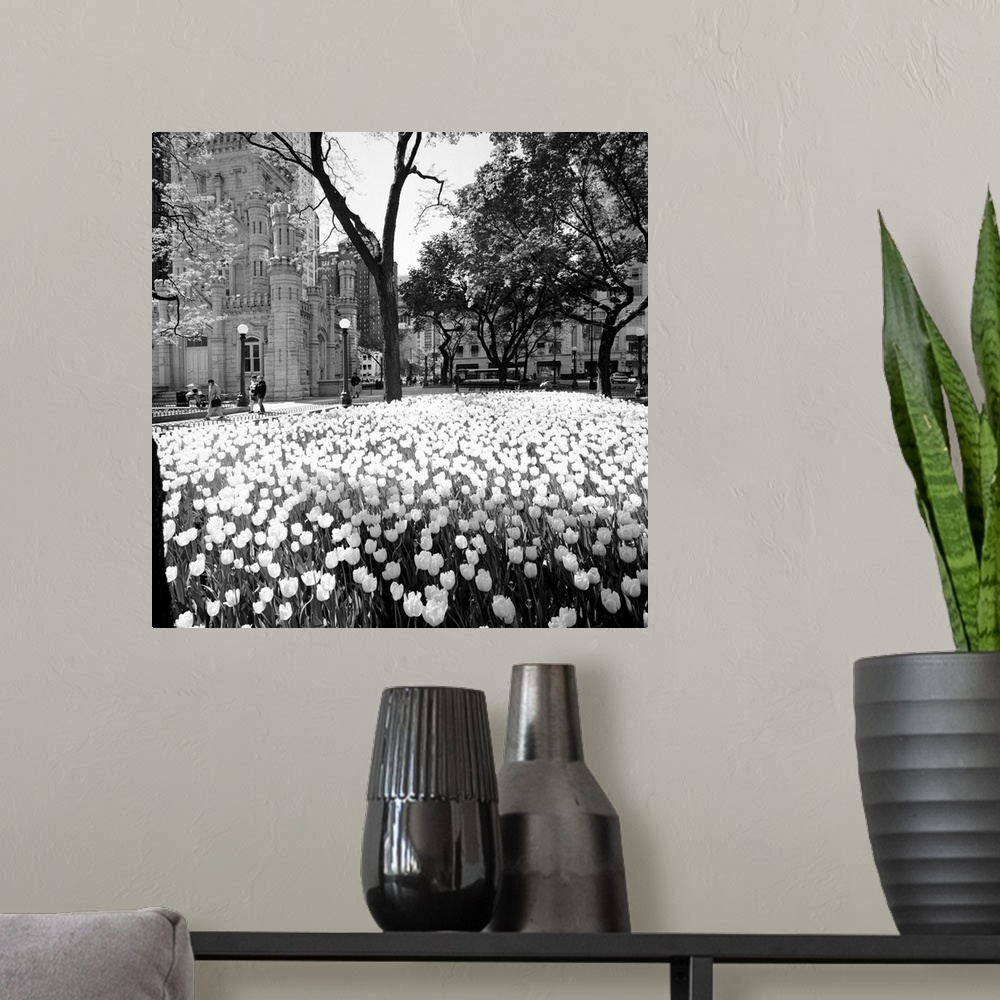 A modern room featuring Square photo print of flowers in a garden in Chicago with tall buildings in the background.