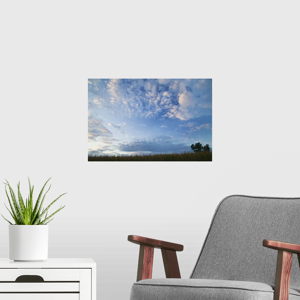 A modern room featuring Wide angle view of clouds over silhouetted field, Iowa