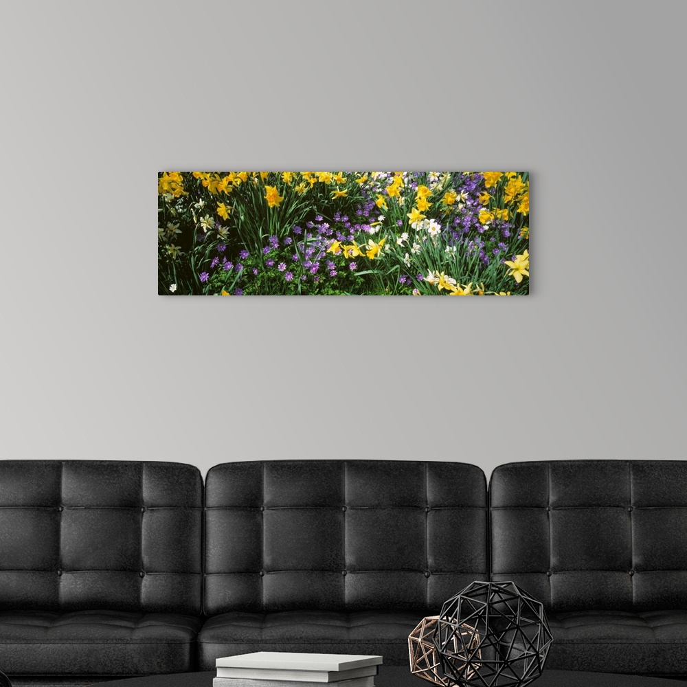 A modern room featuring Wild Flowers
