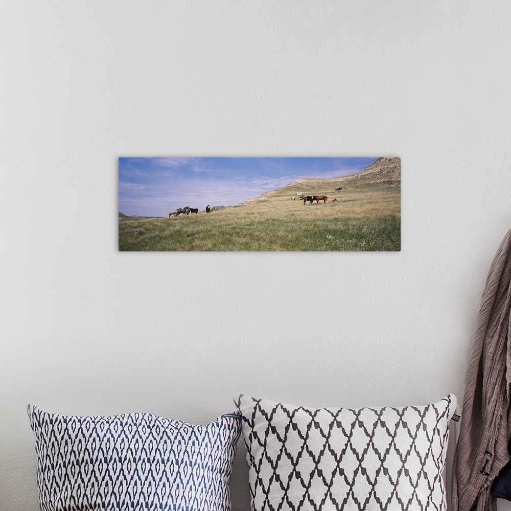 A bohemian room featuring Wild horses in a grassy field, Badlands, Theodore Roosevelt National Park, North Dakota