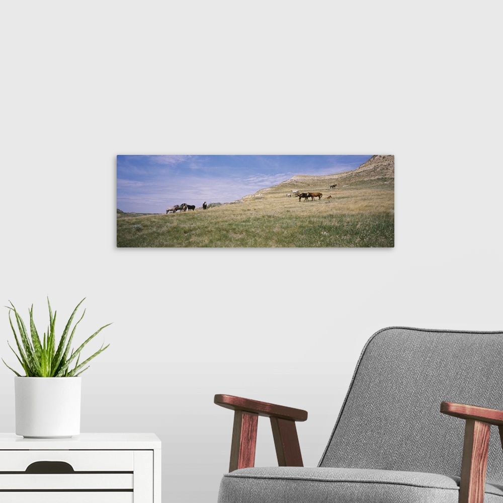 A modern room featuring Wild horses in a grassy field, Badlands, Theodore Roosevelt National Park, North Dakota