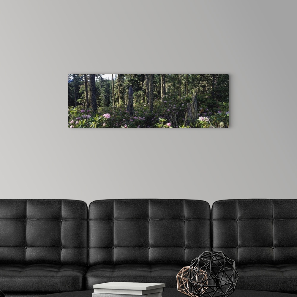 A modern room featuring Wild Rhododendrons Mount Hood National Forest OR