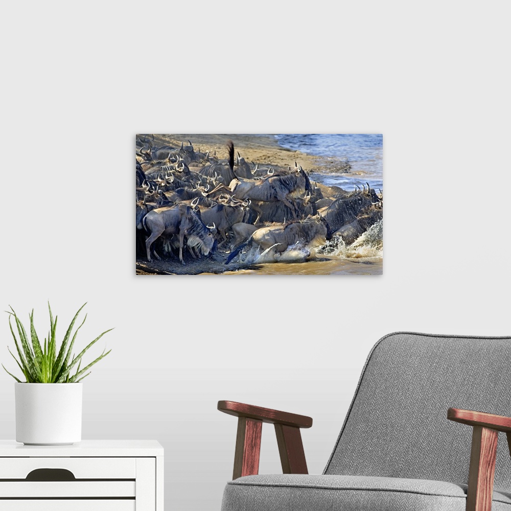 A modern room featuring Wildebeest Crossing Mara River