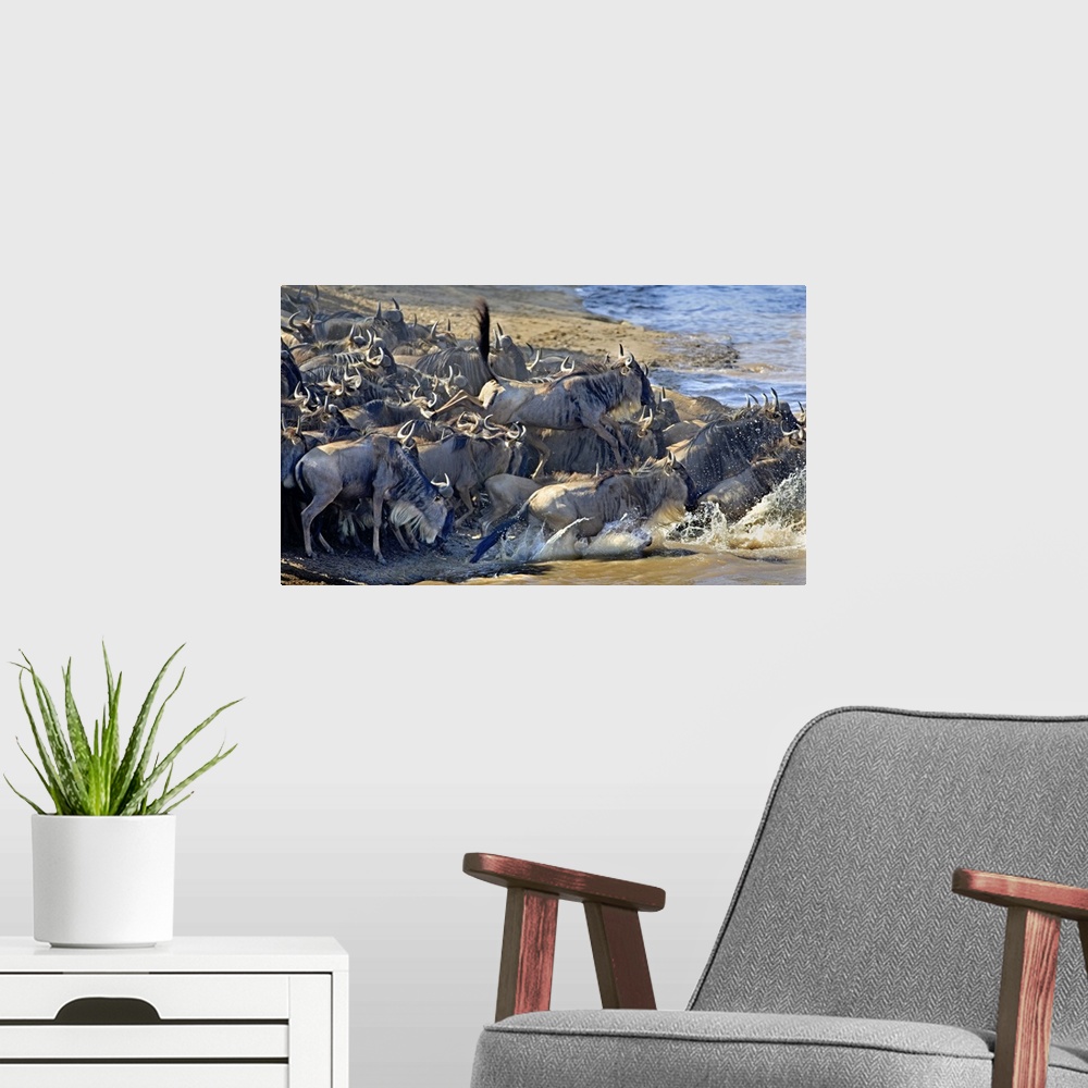 A modern room featuring Wildebeest Crossing Mara River